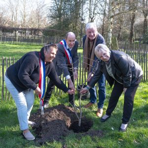 Lire la suite à propos de l’article 03 mars 2026 – Plantation du néflier offert par Viersen